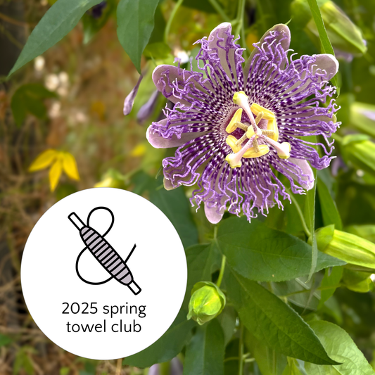 2025 Spring Towel Club